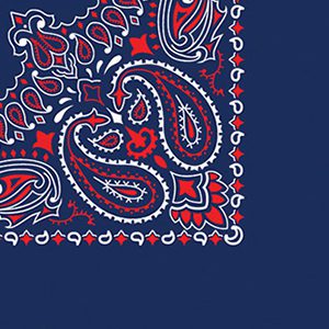 22" X 22" Traditional USA Paisley Bandanna