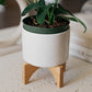 Saratoga Ceramic Flower Pot