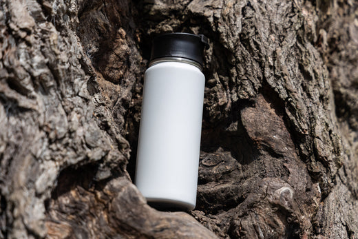 20 oz Everest Tumbler