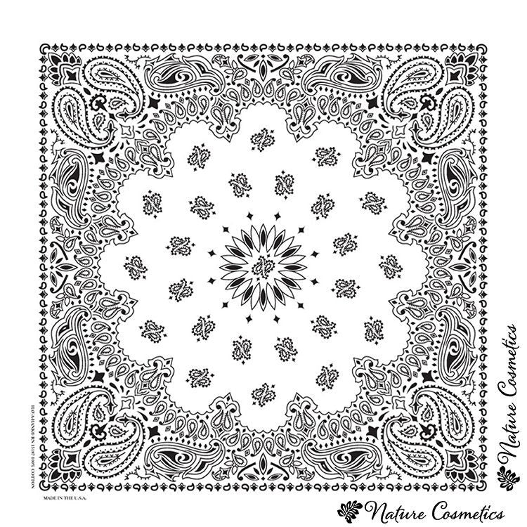 22" X 22" Traditional USA Paisley Bandanna