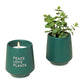 Modern Sprout® Rooted Candle