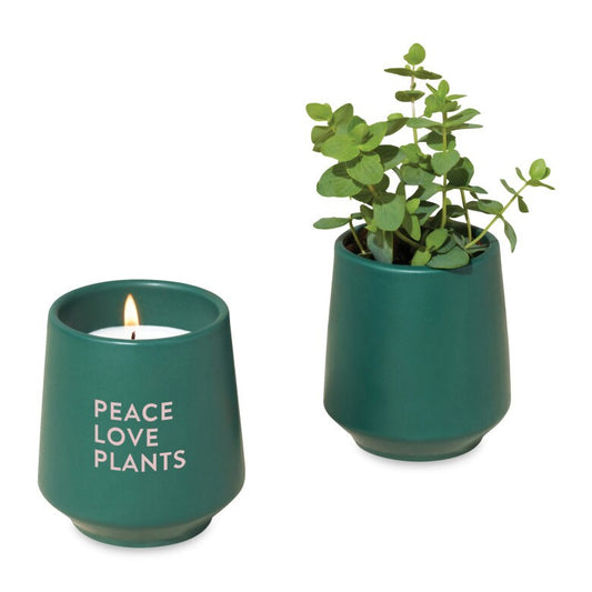 Modern Sprout® Rooted Candle