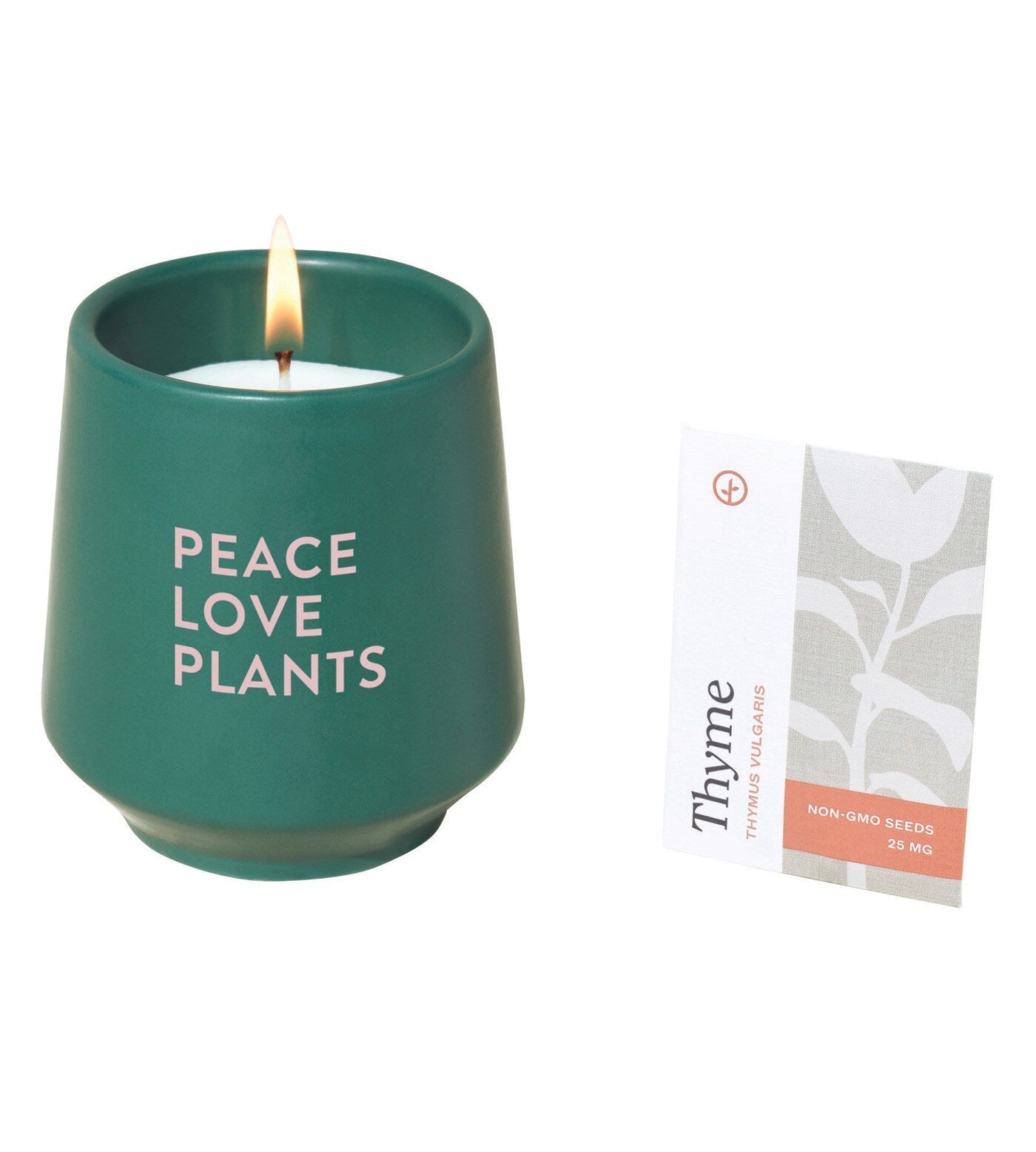 Modern Sprout® Rooted Candle